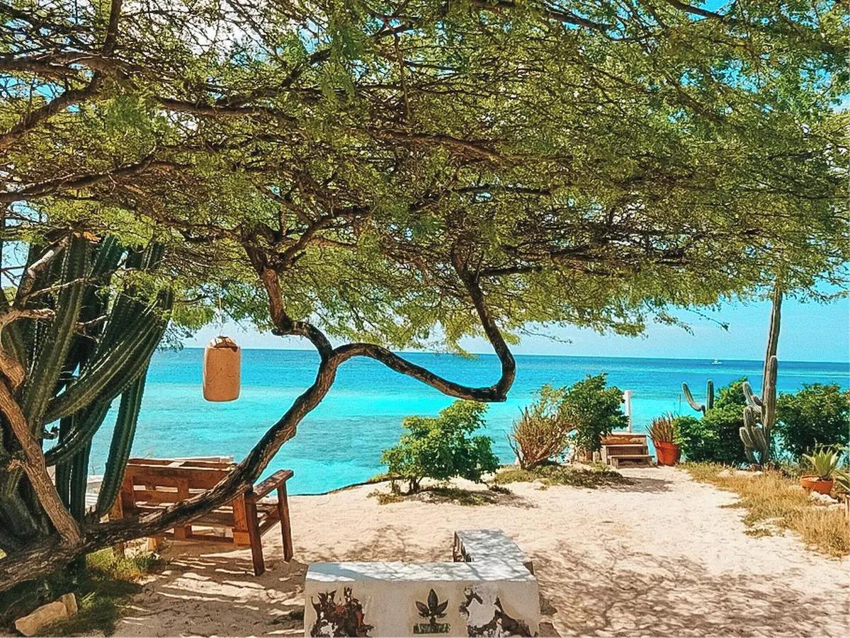 Beach at French Leave Retreat