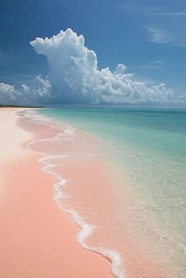Pink-Sand Sunset Sail photo 2