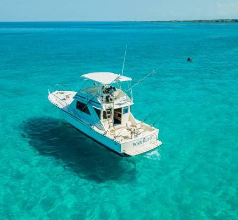 Full-Day Offshore Fishing Charter photo 3