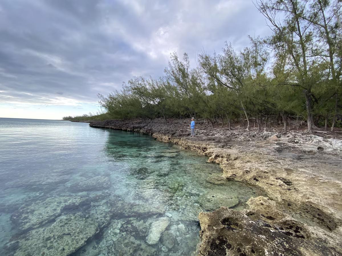 Beach at Coral House