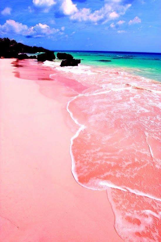 Pink-Sand Sunset Sail photo 1