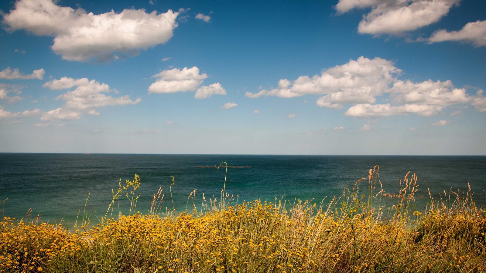 Wemyss Bight Vacation Rentals